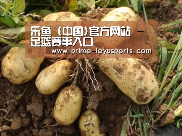 种植基地六