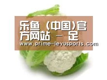 产品名称九