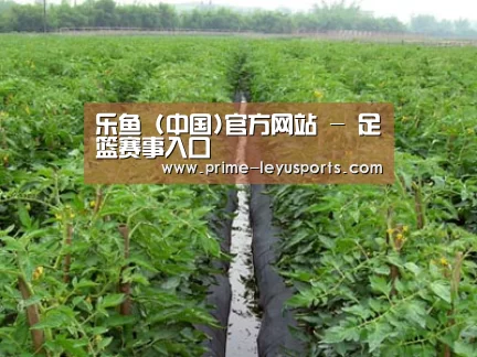 种植基地三