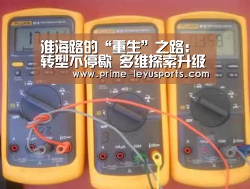乐鱼