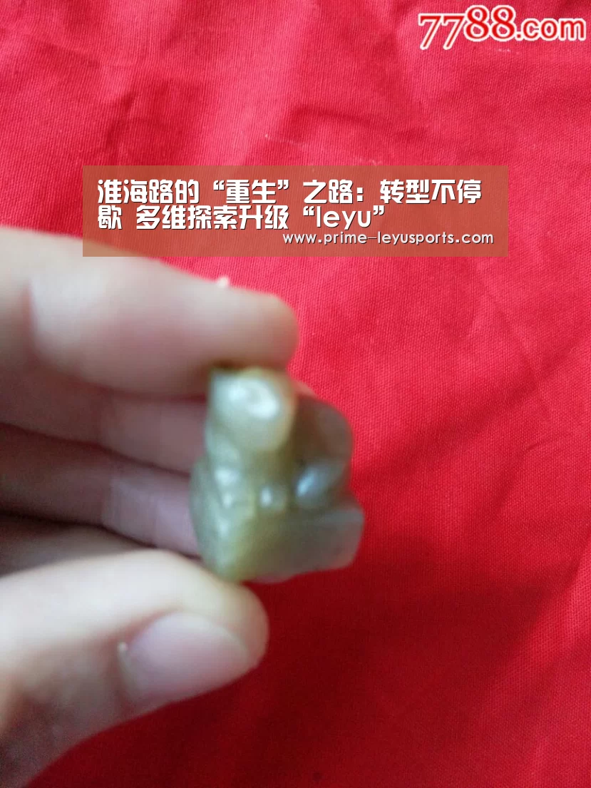 乐鱼